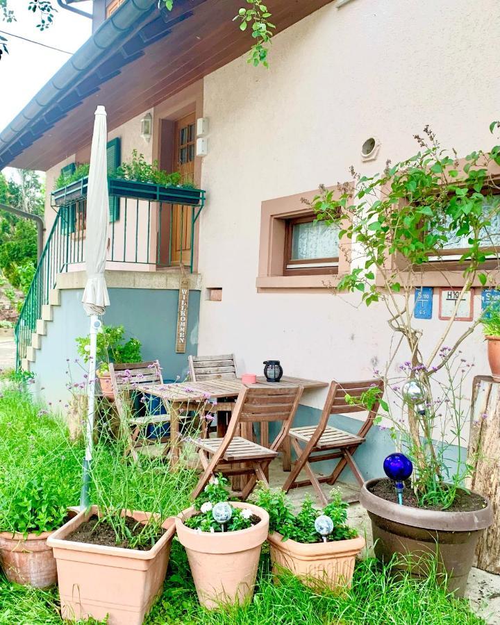Ferienwohnung Diana Sexau Luaran gambar